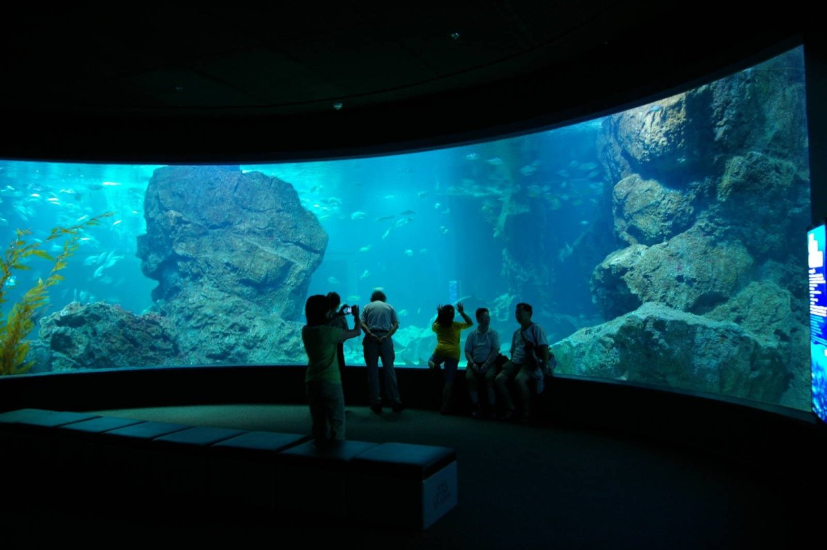 Океанариум Siam Ocean World