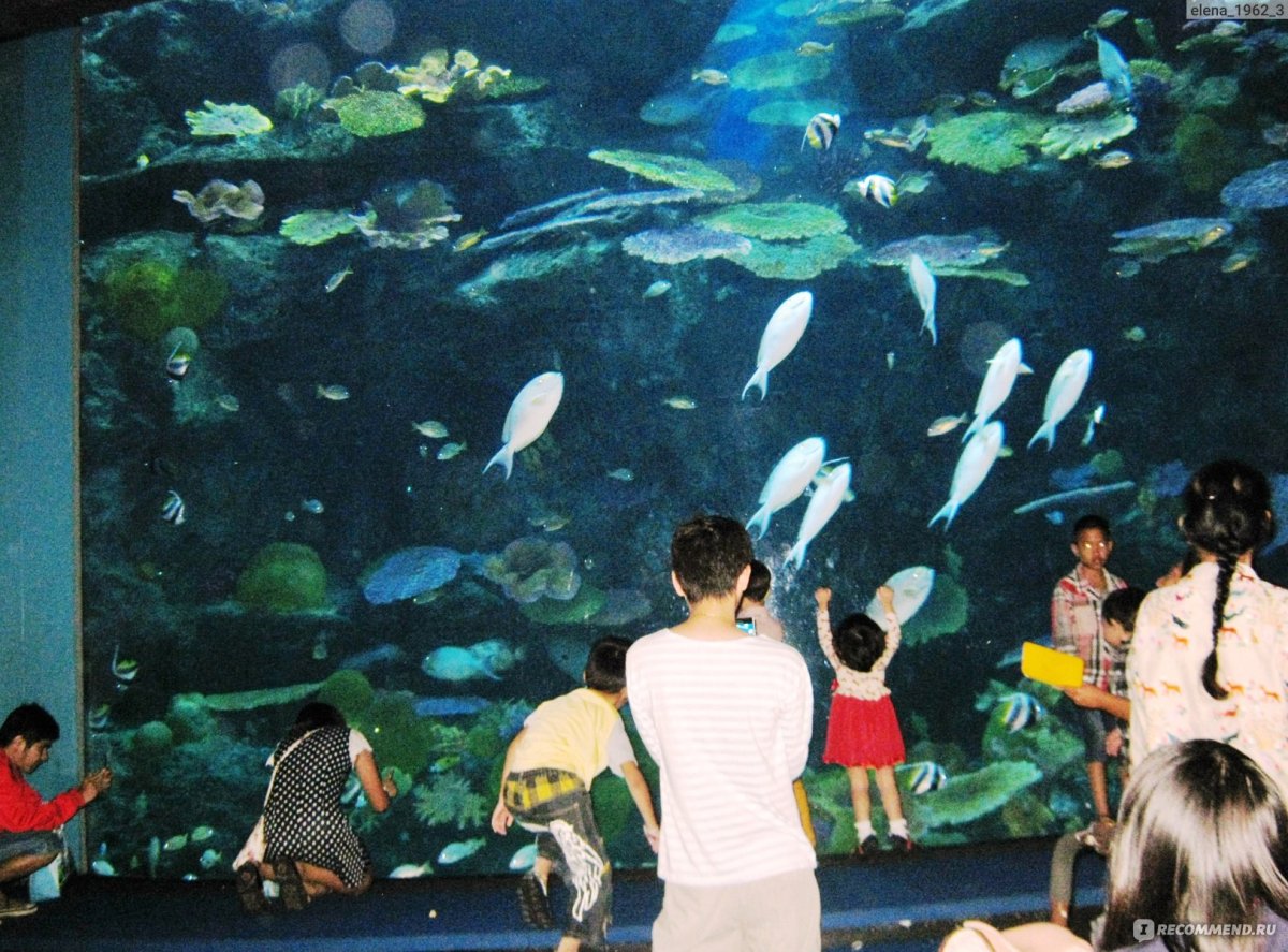 Аквариум Siam Ocean World в Бангкоке