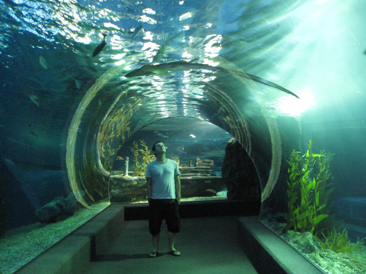Siam Ocean World
