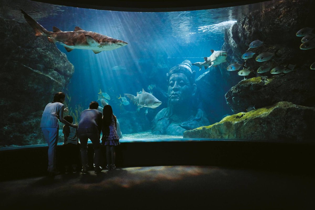 Океанариум Sea Life Бангкок