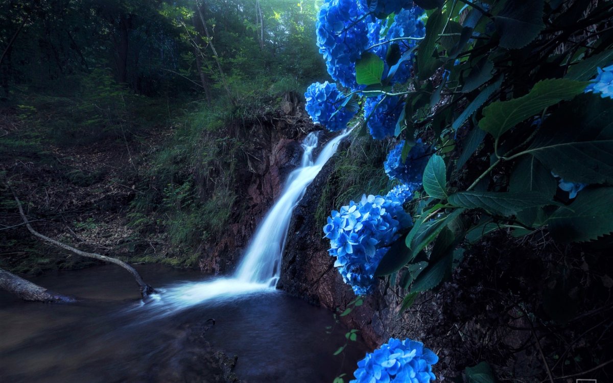 Синяя природа