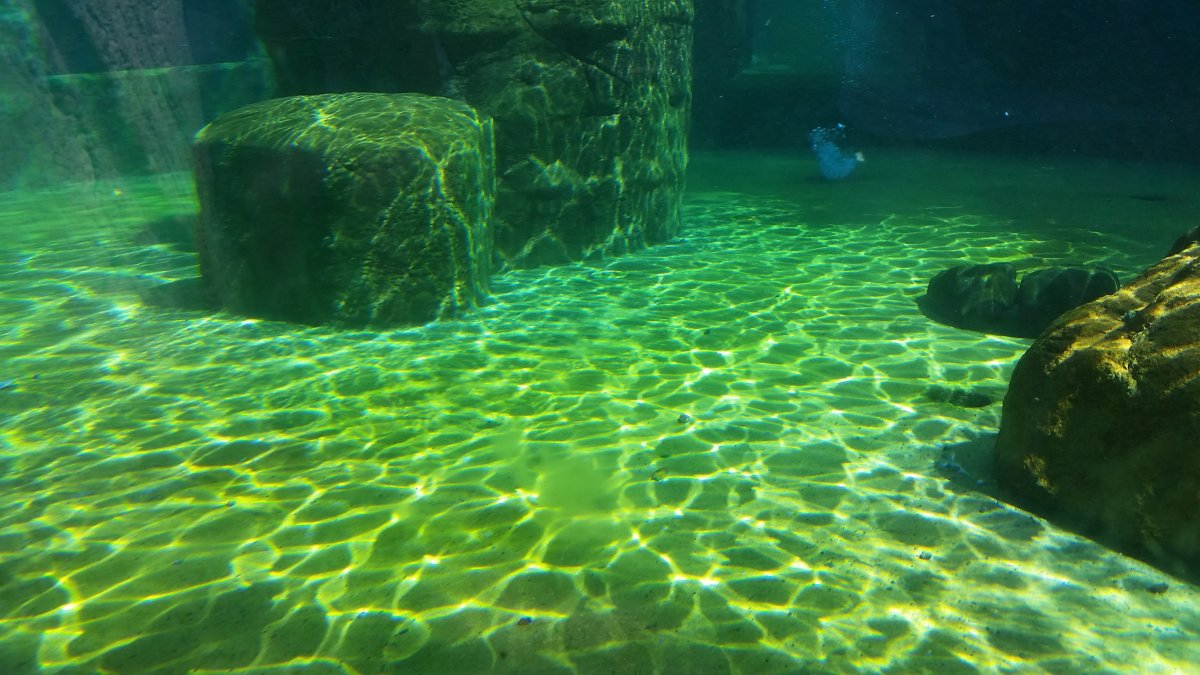 Прозрачное море под водой