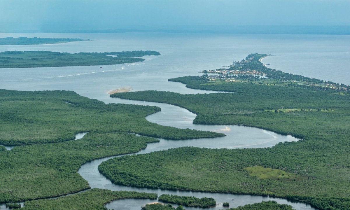 Река Конго в экономике