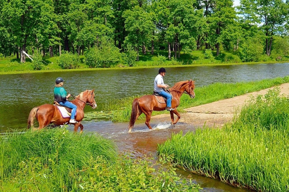 Покататься на лошадях в Нижнем Новгороде