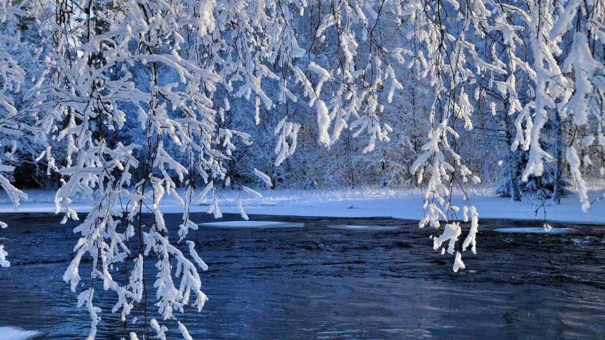 Снег на воде