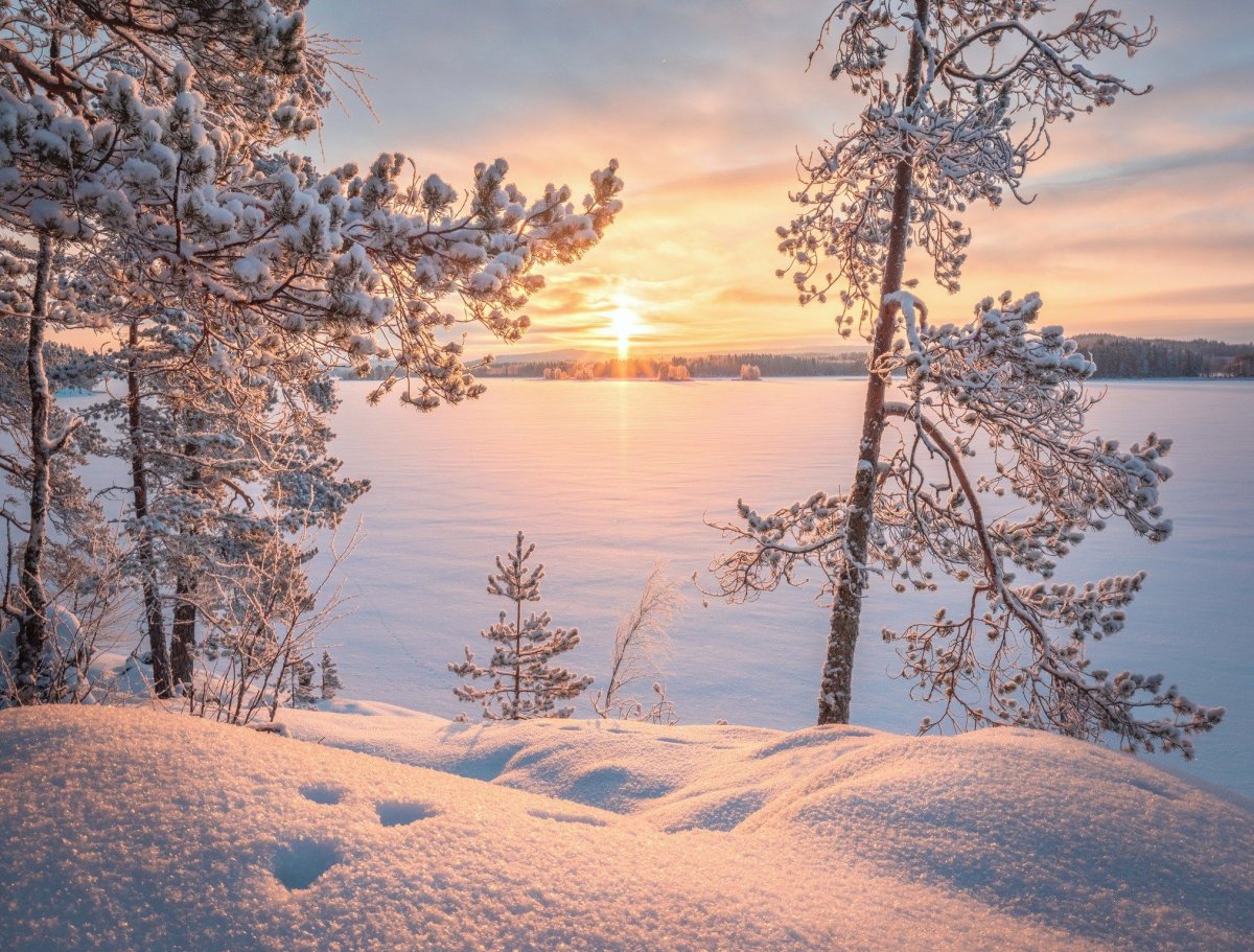 Зимняя сказка финского фотографа Asko Kuittinen.