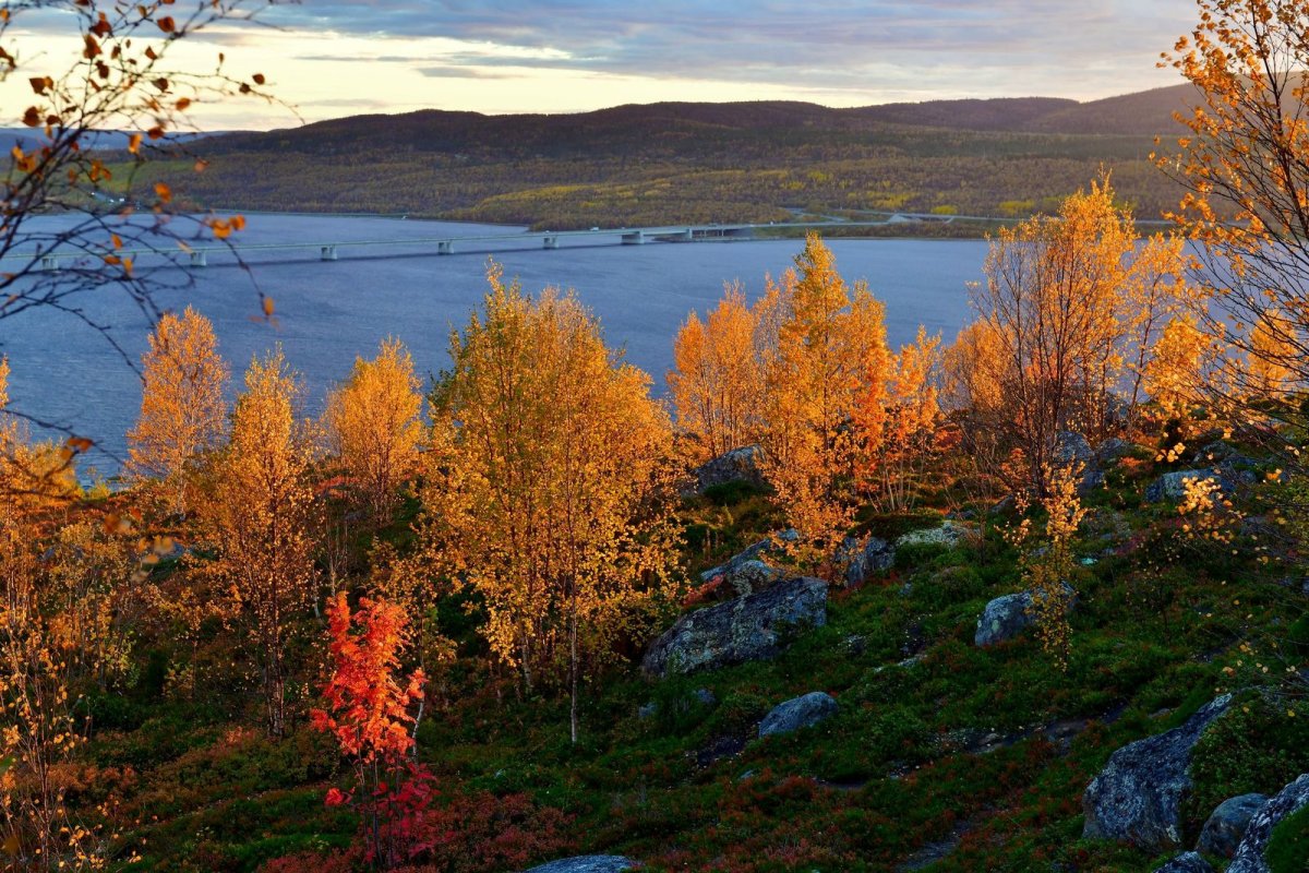 Мурманск природа сопки