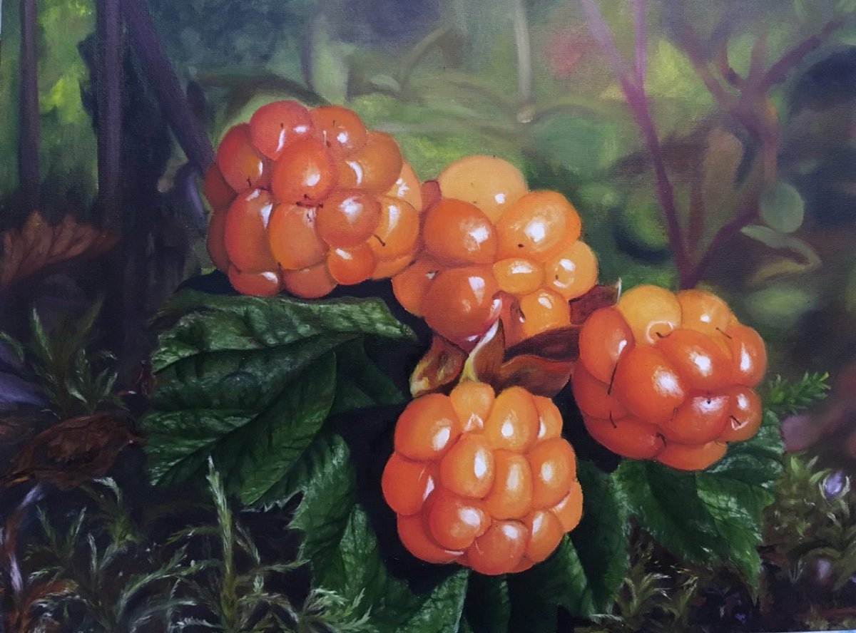 Морошка картина
