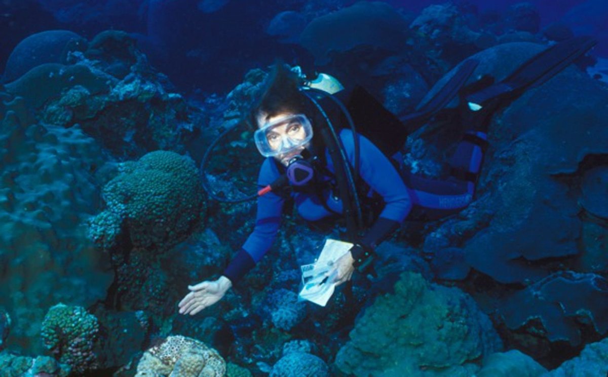 Marine biologist