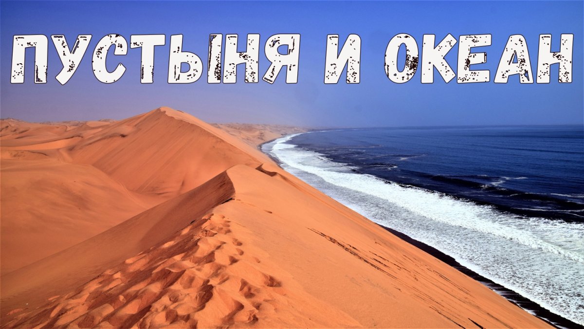 Африка с нами