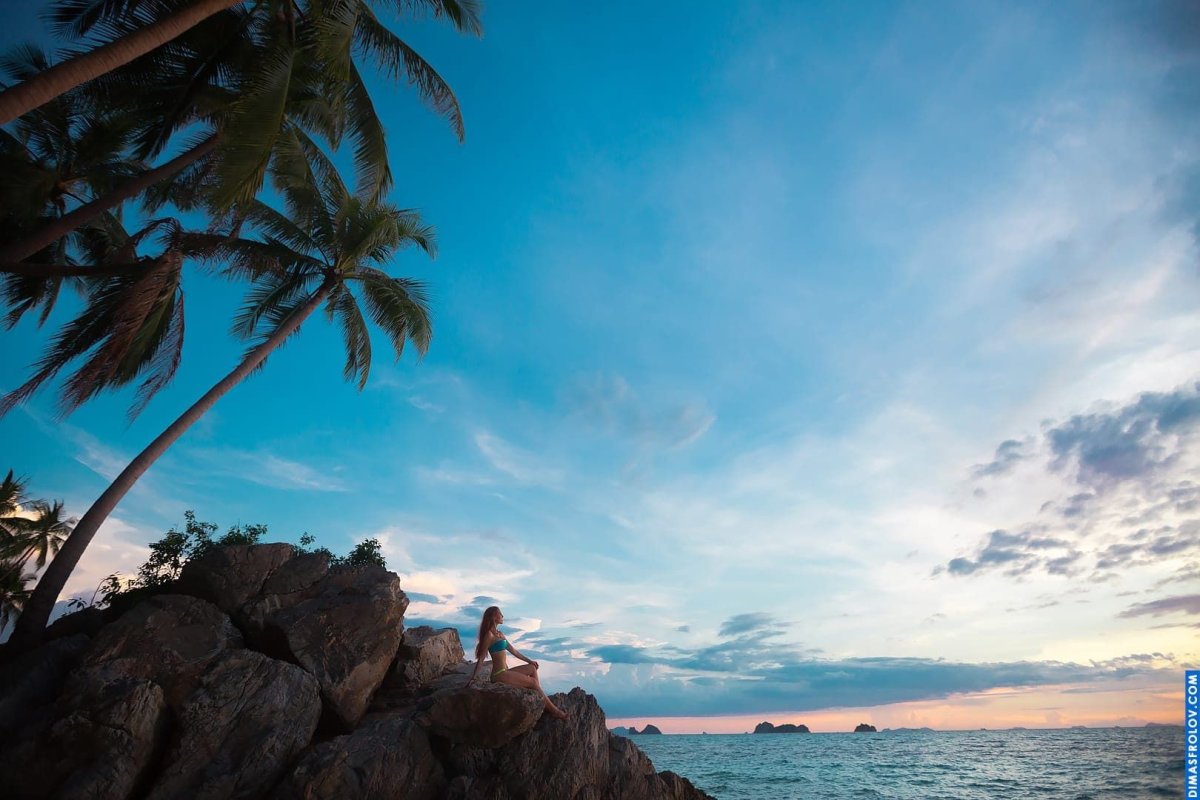 Wild Beach Photography