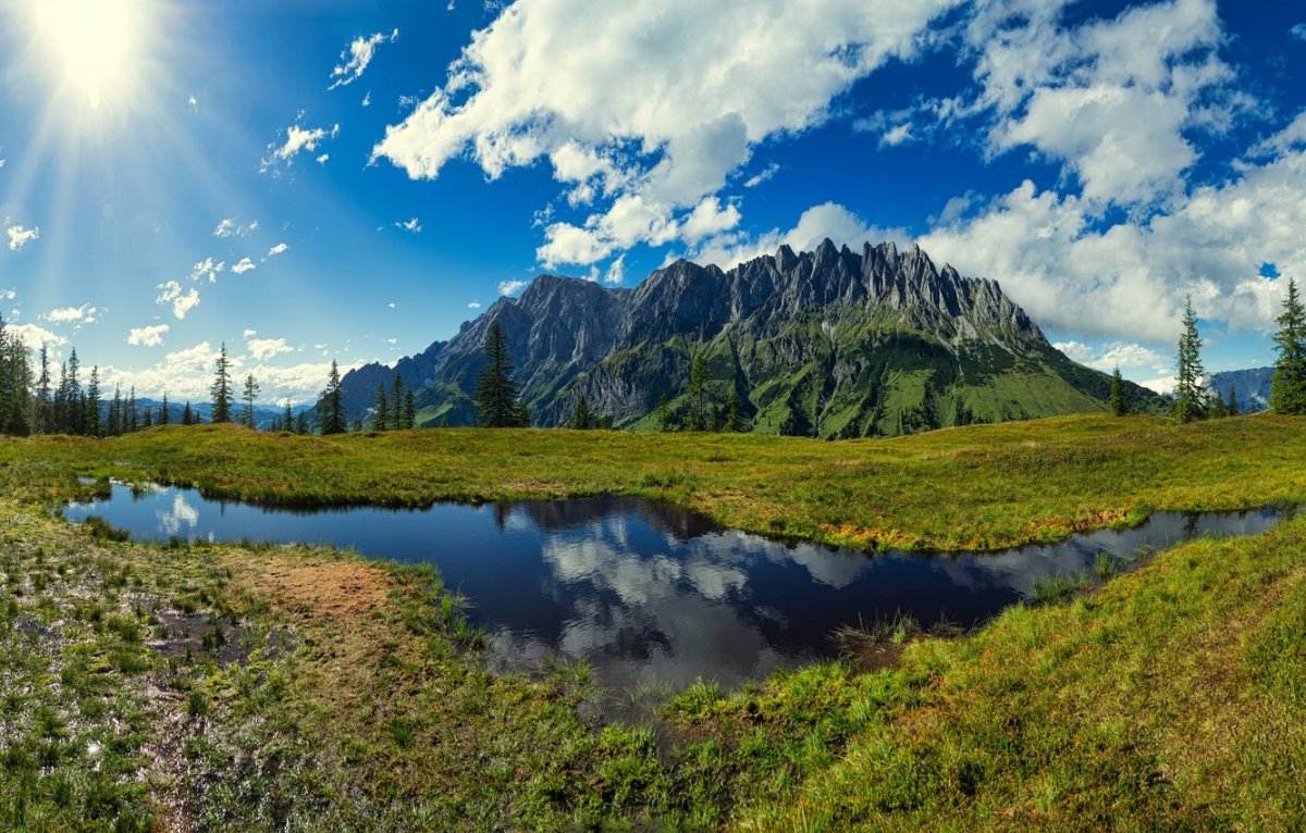 Альпийские Луга