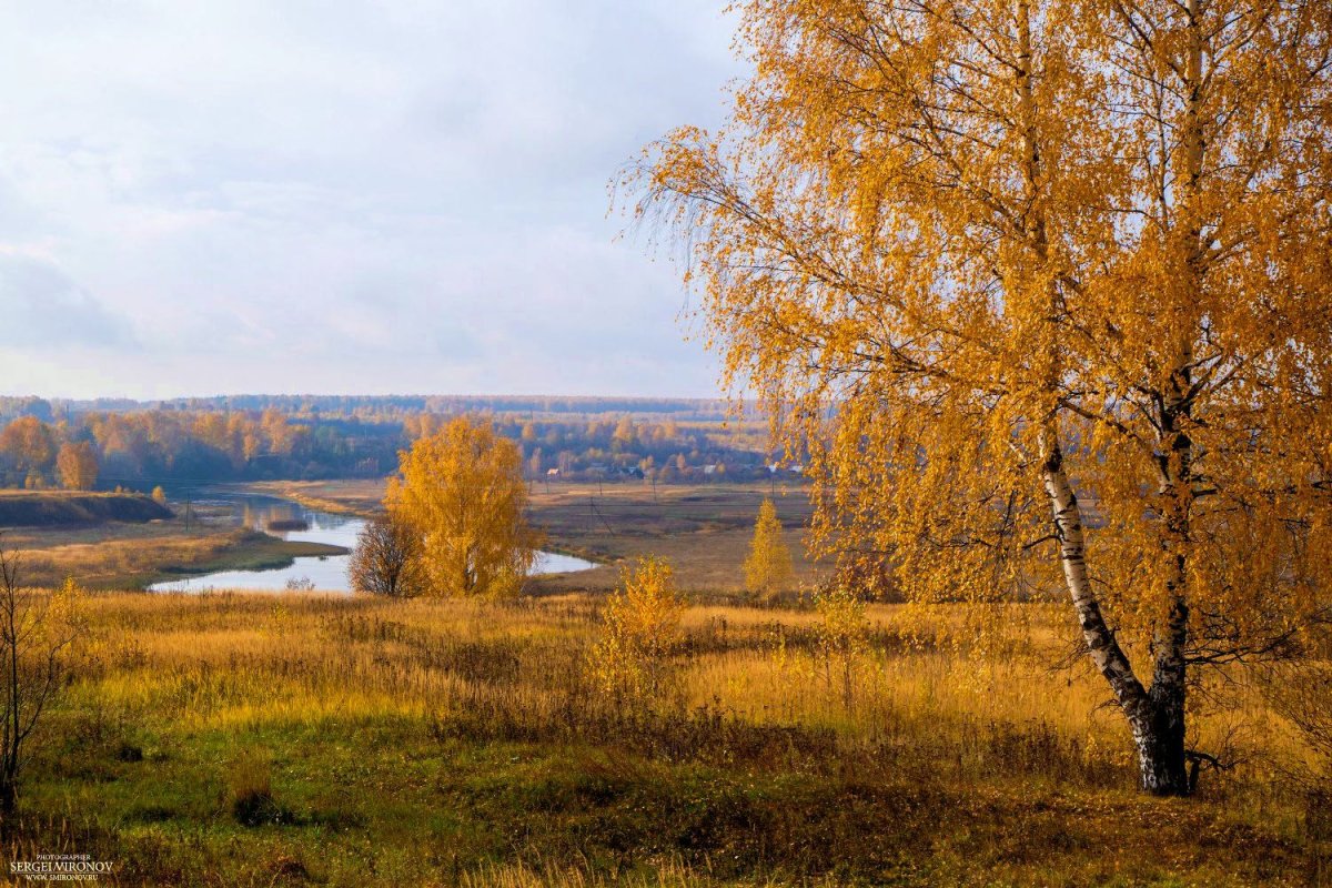 Природа Костромской области