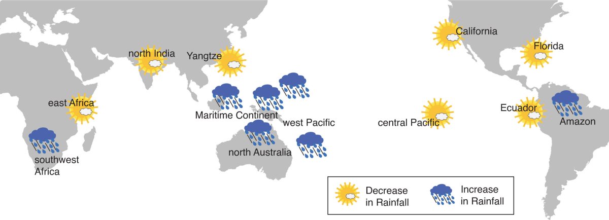 Indo-West Pacific