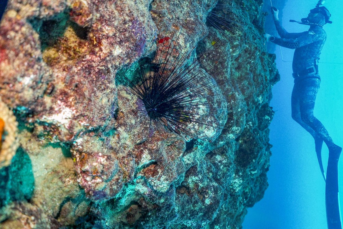 Ионическое море под водой