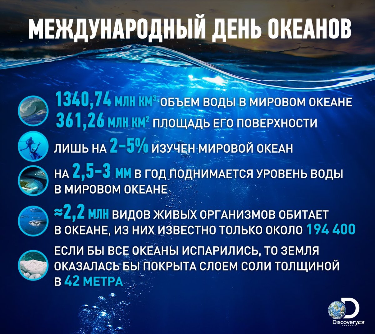 На сколько процентов изучен океан