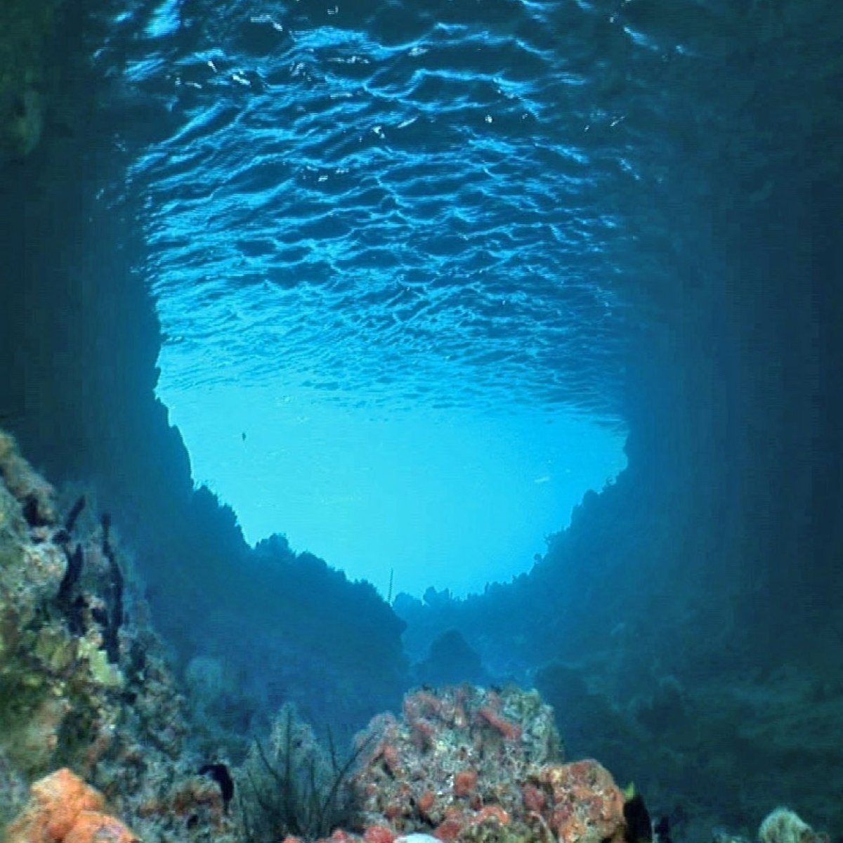 Дно моря