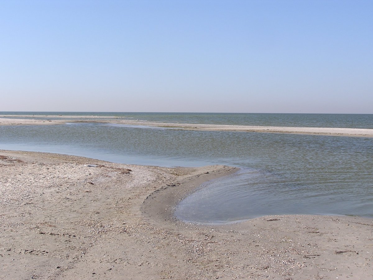 Белоскрайка Азовское море