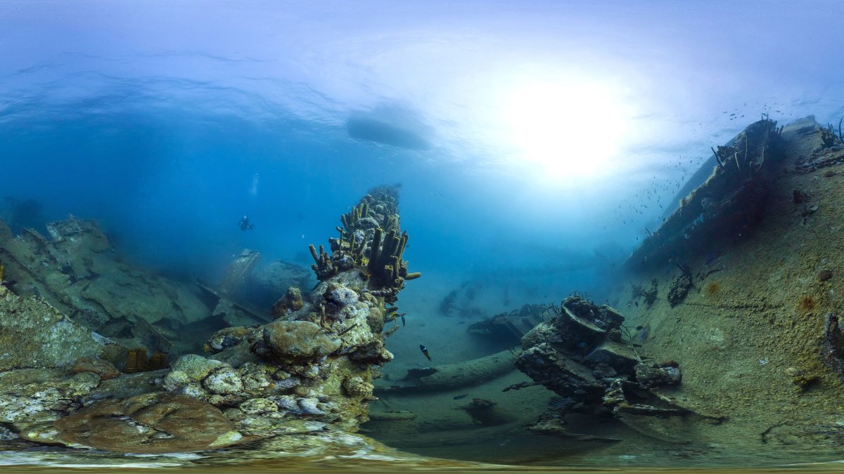 Морское дно панорама