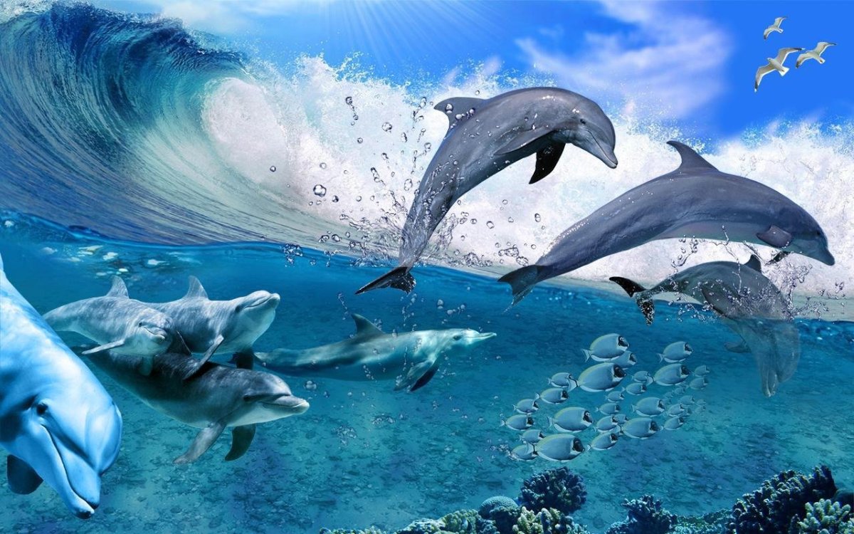 Дельфины в море