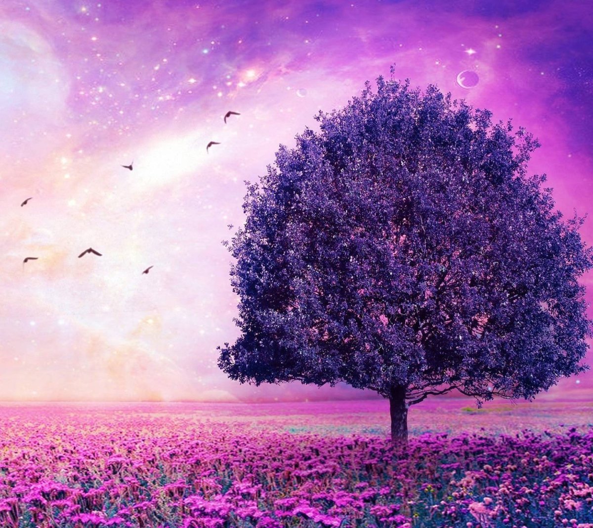 Фиолетовая природа