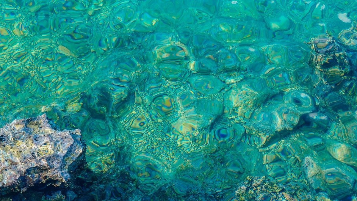 Морское дно вид сверху