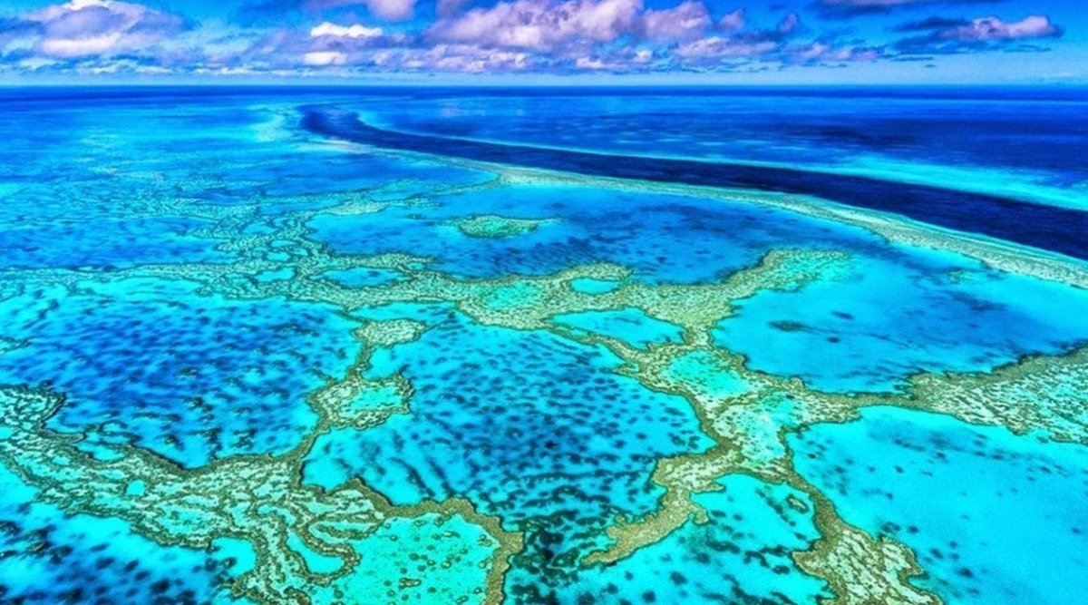 Большой Барьерный риф (the great Barrier Reef)