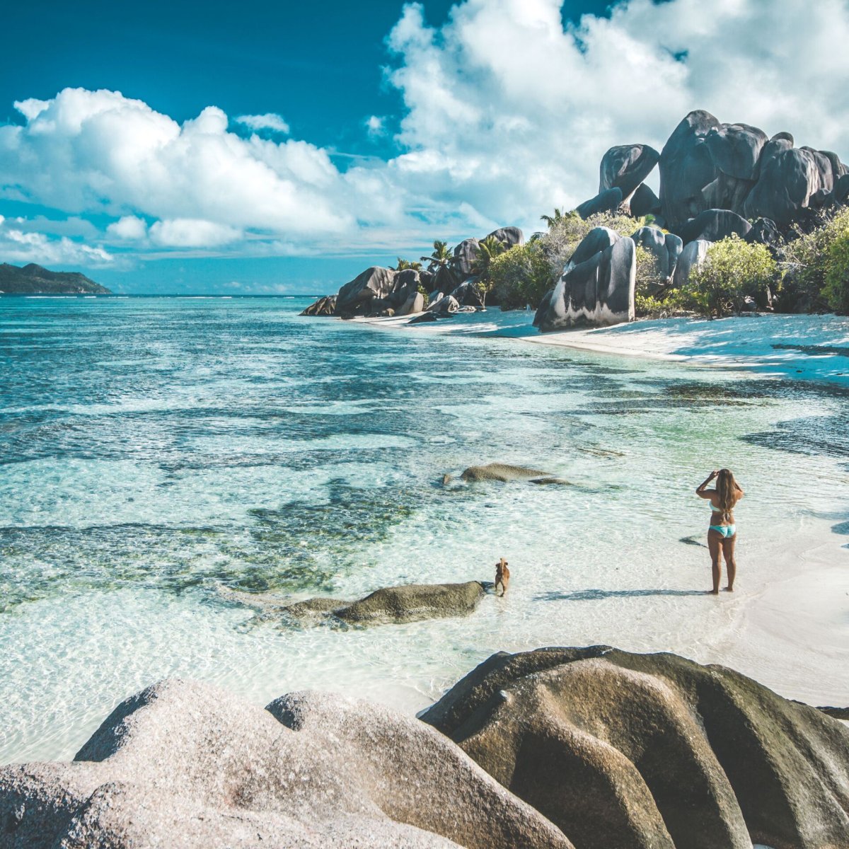 Aride Island Сейшельские острова