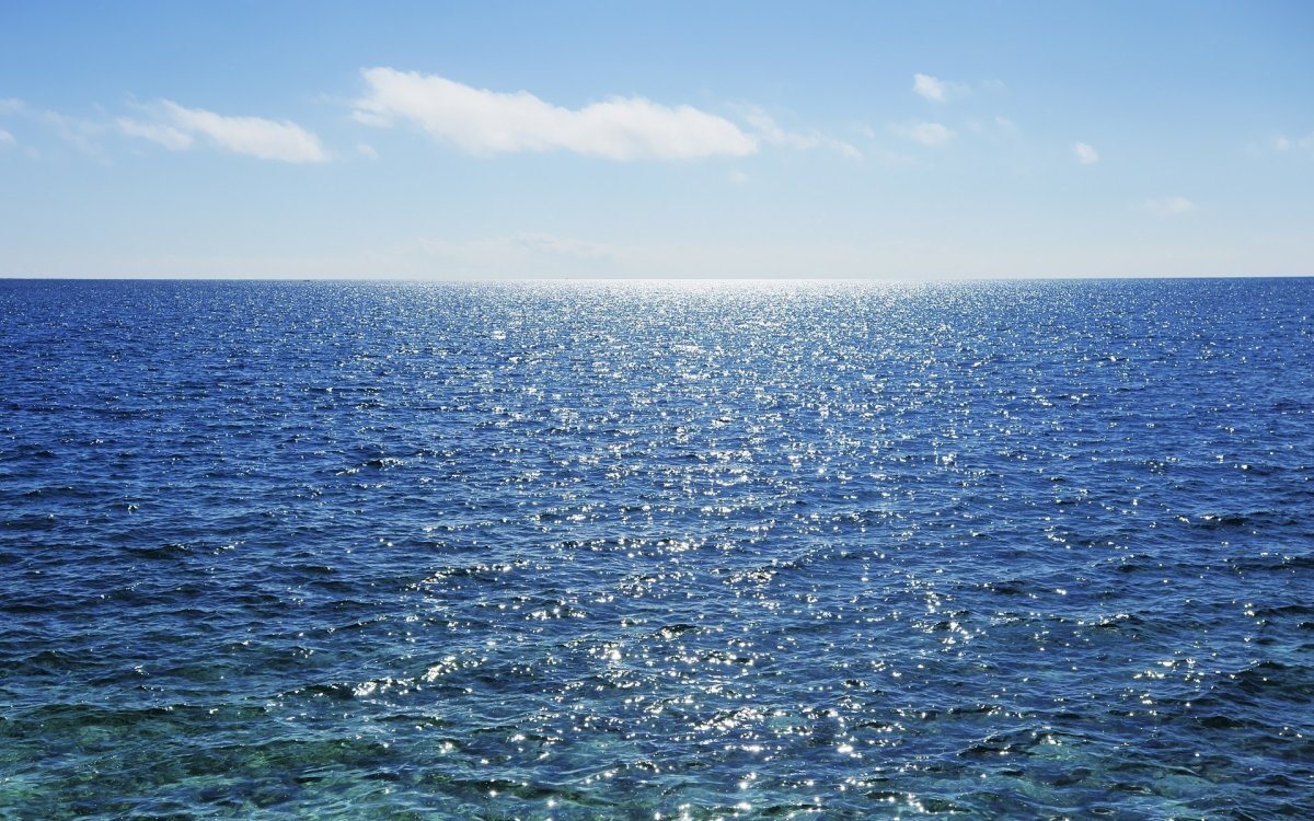 Безбрежное Саргассово море