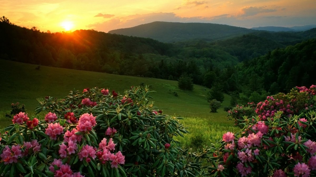 Красивая природа