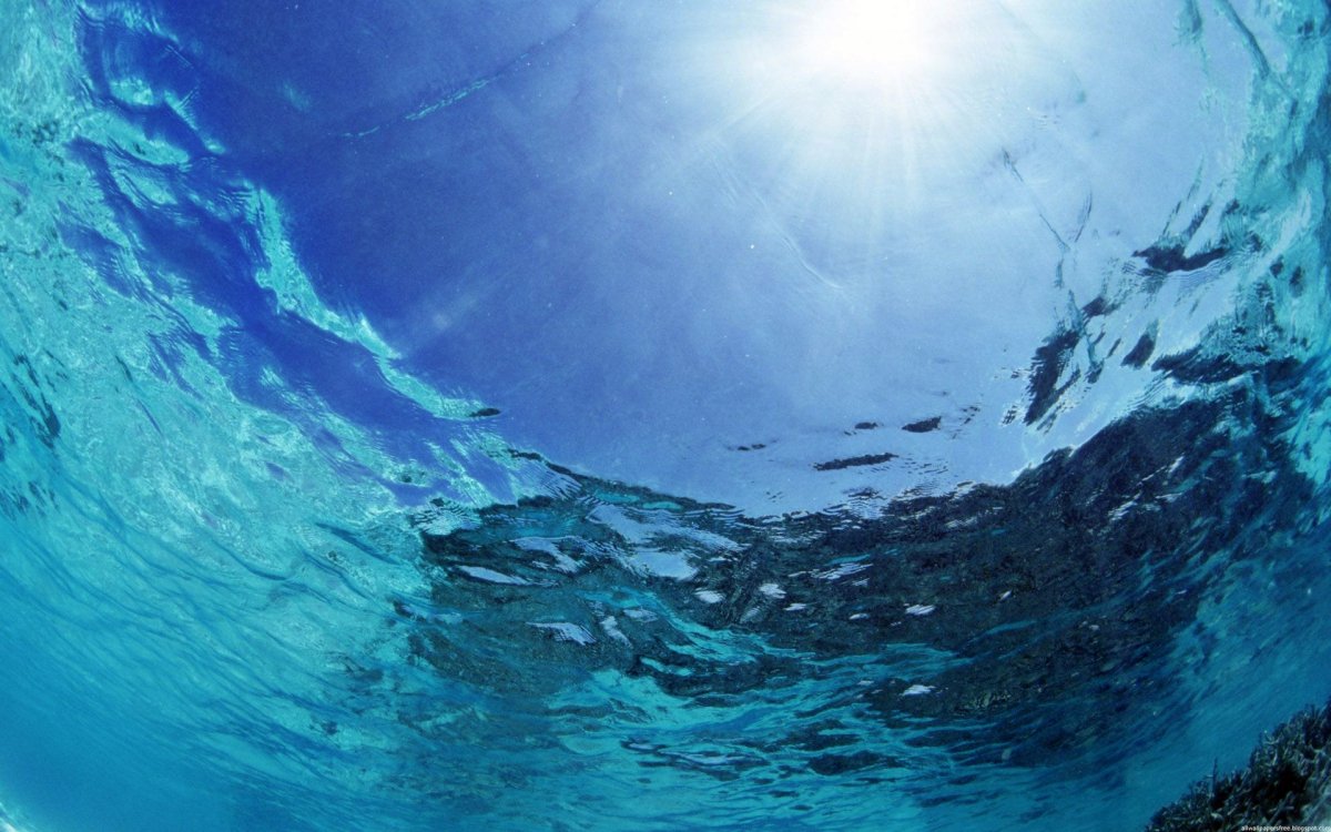 Море под водой