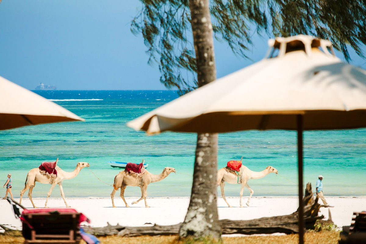 Отель the Sands at Nomad 5*