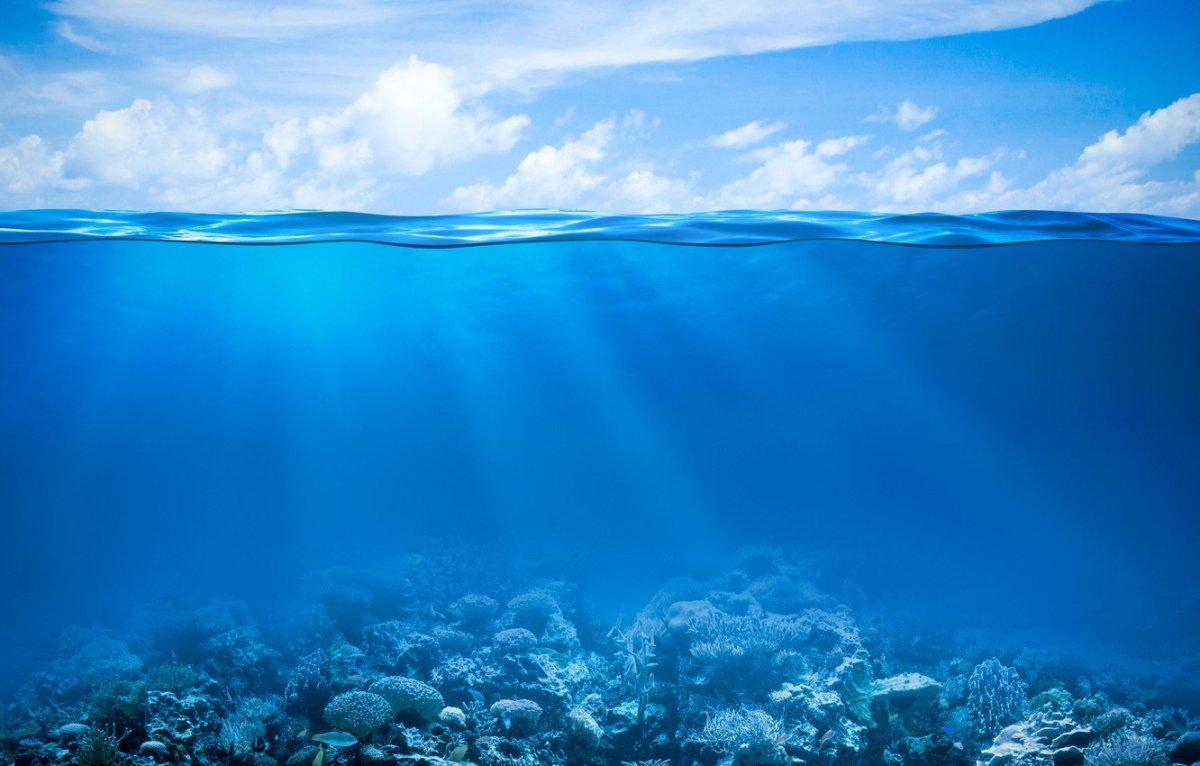 Дно моря
