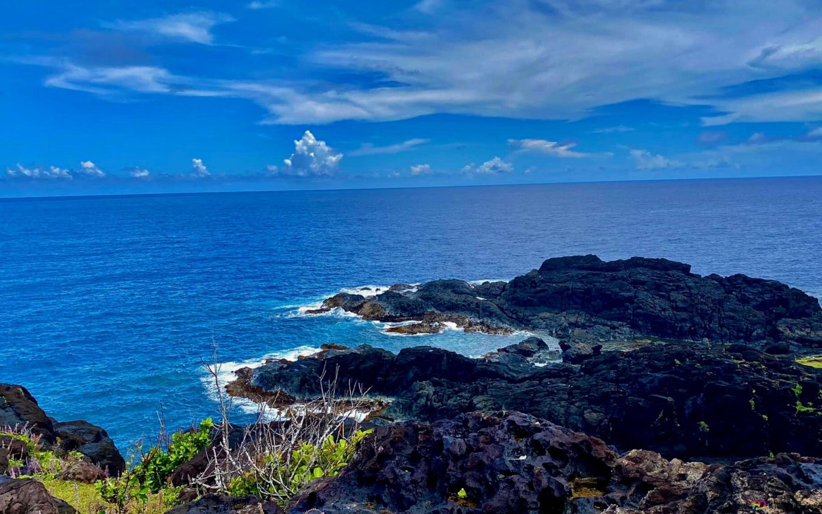 Trimay Blue Ocean Biome