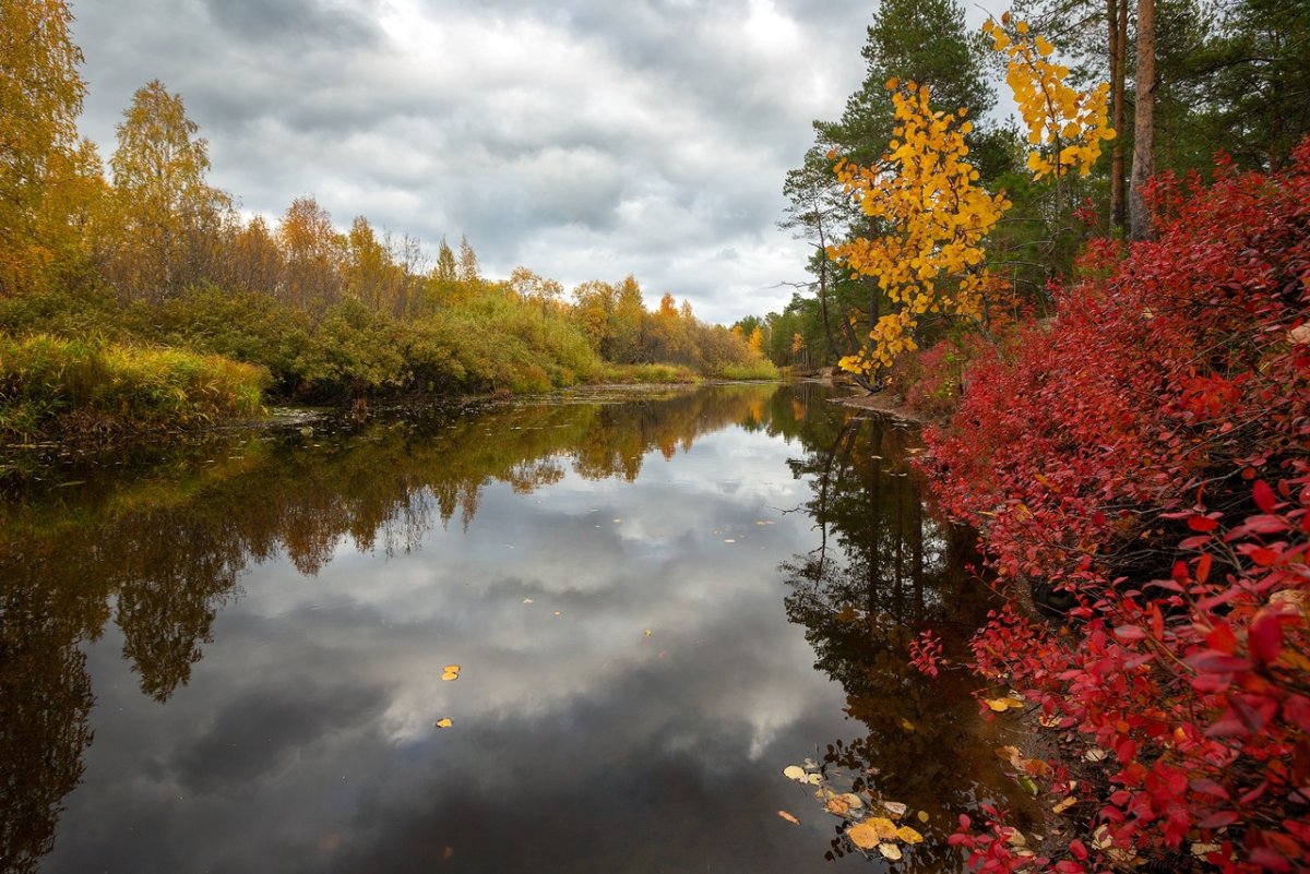 Река Кудьма Нижегородская область