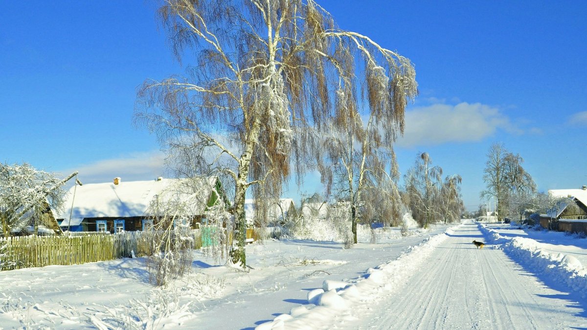 Зима в селе