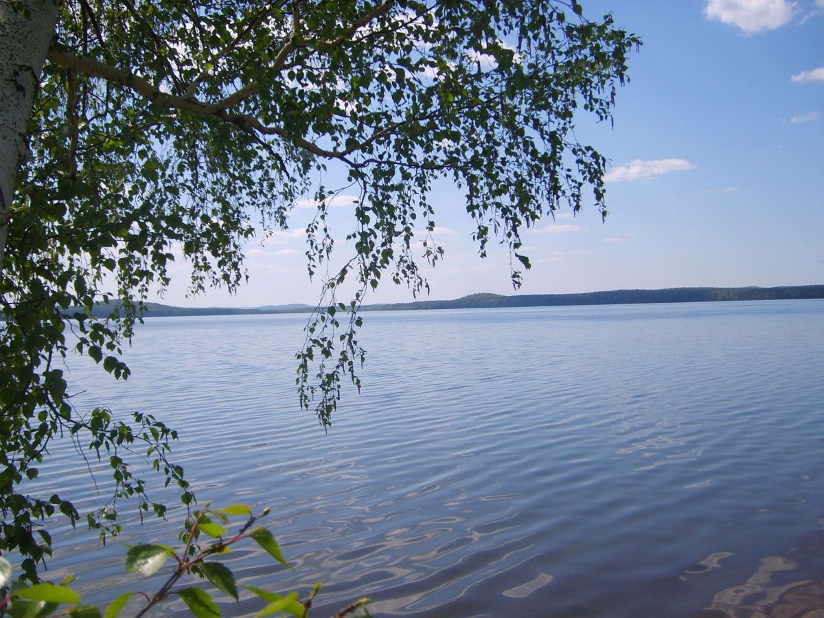 Оз Окункуль Челябинская область