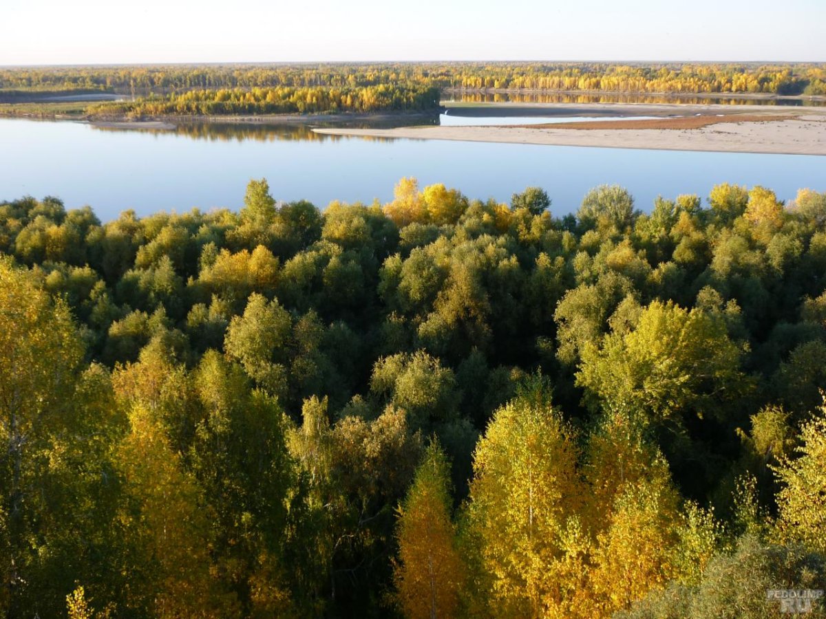 Село Новообинцево Шелаболихинский район