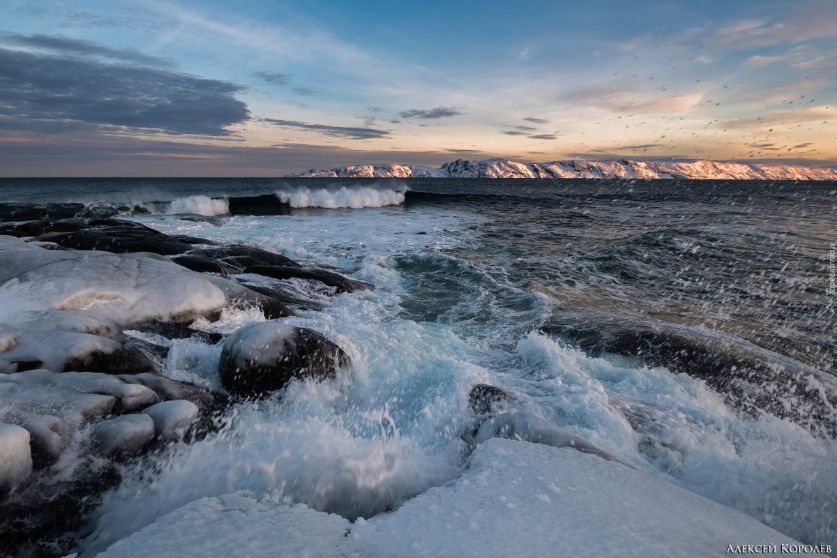 Баркнцево море тереберг