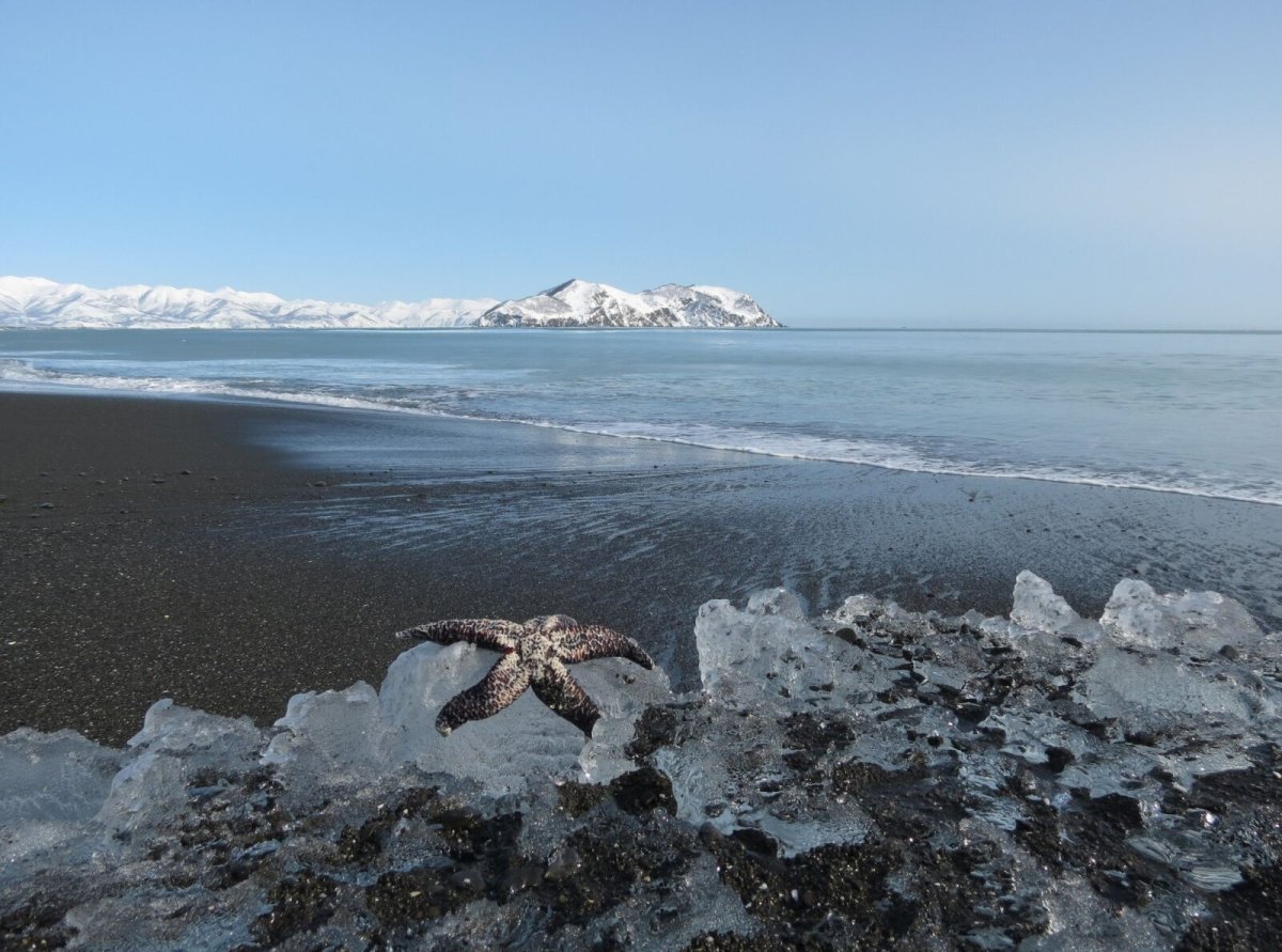 Восточно Сибирское море