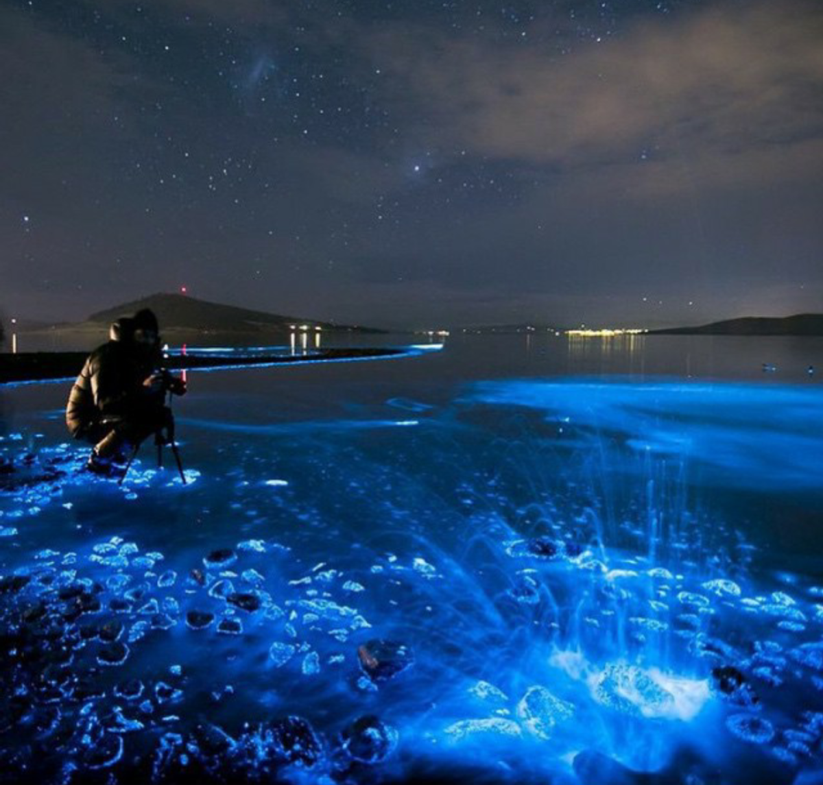 Светящийся планктон в черном море
