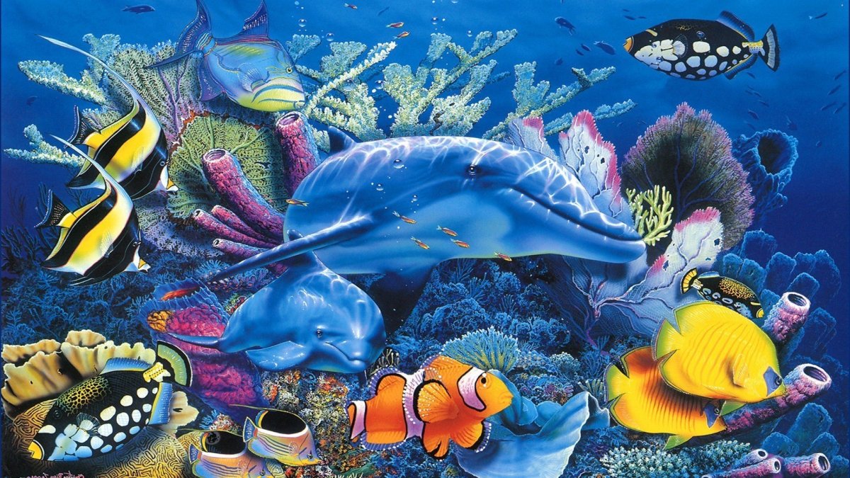 Подводный мир морей и океанов
