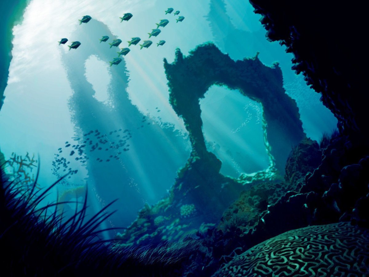 Морское дно Глубоководье