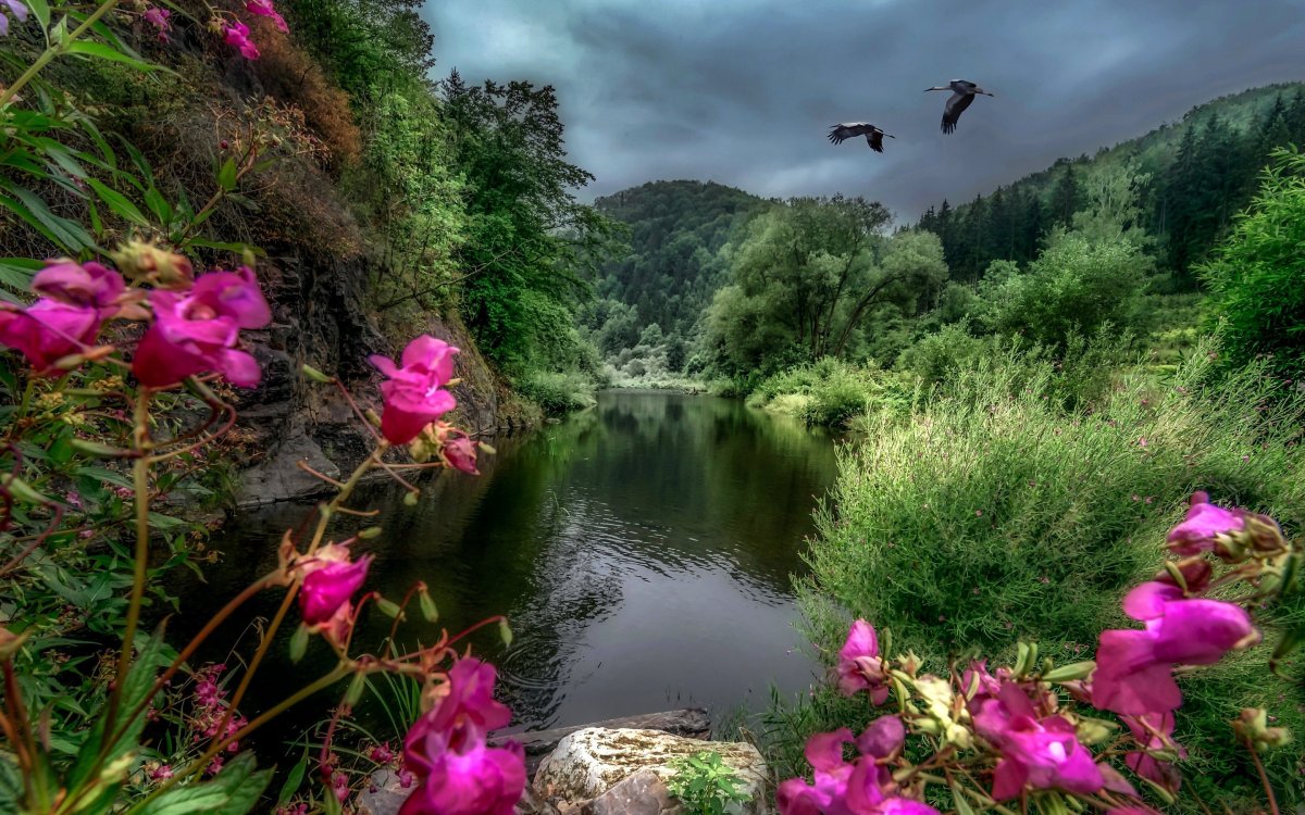 Красота природы