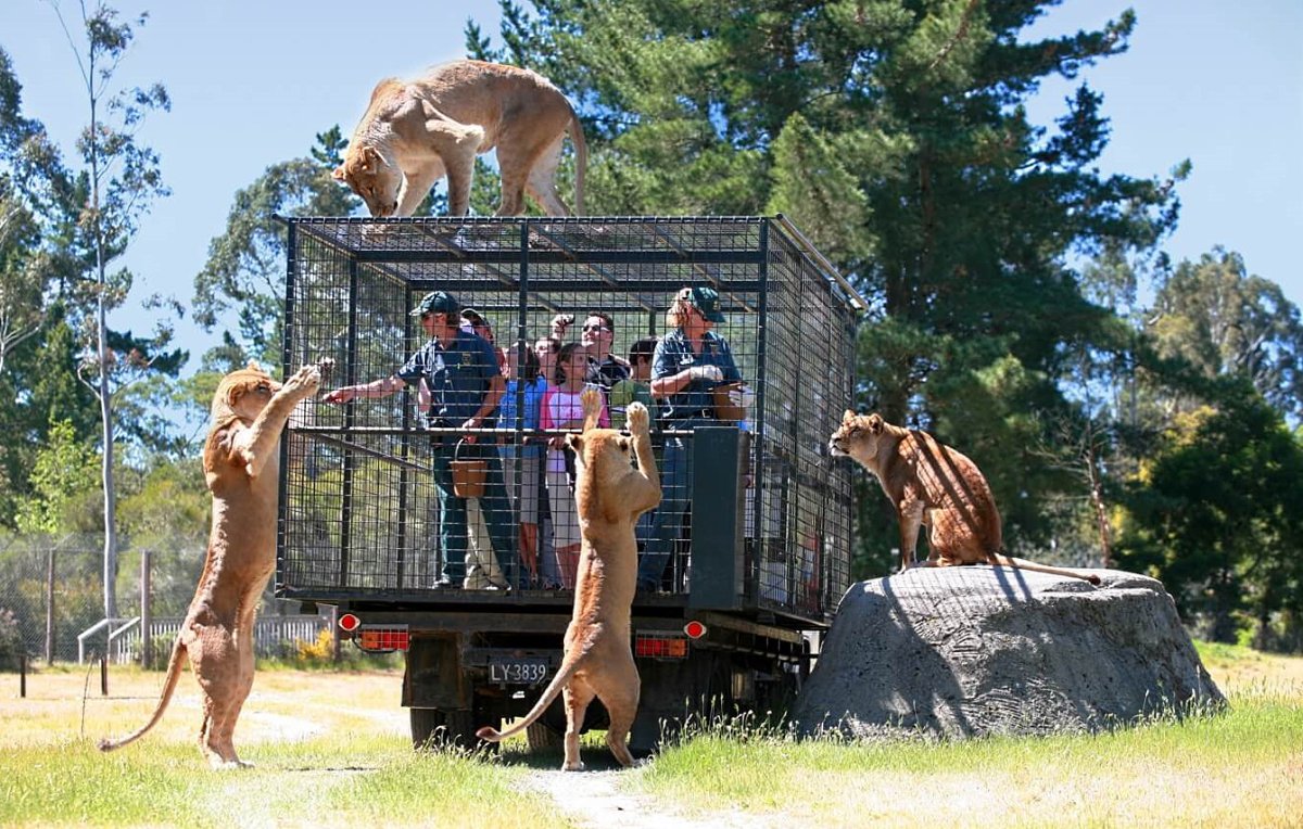 Orana Wildlife Park