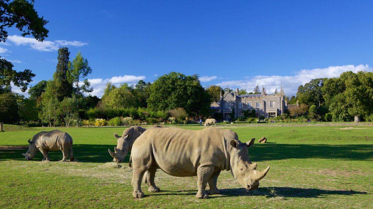 Cotswold Wildlife Park