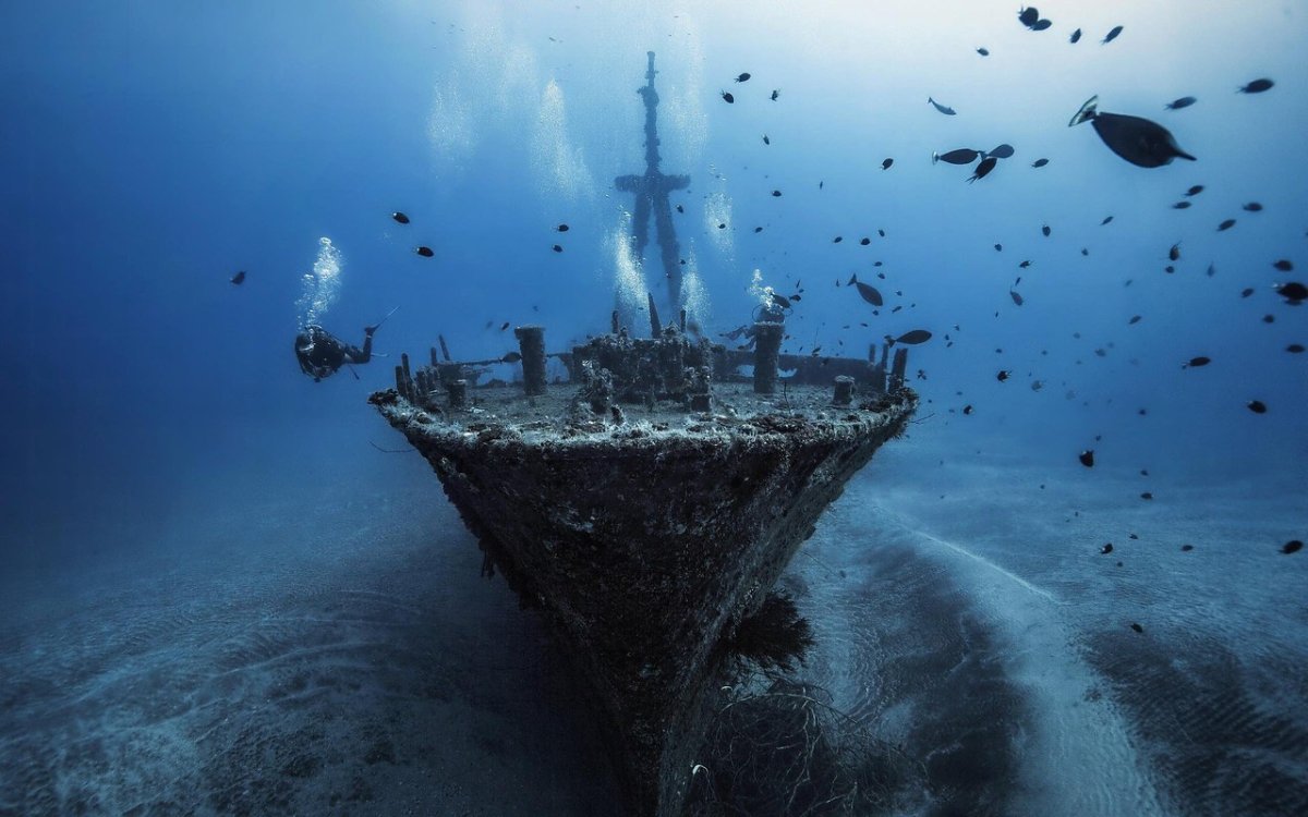 Саргассово море Бермудский треугольник