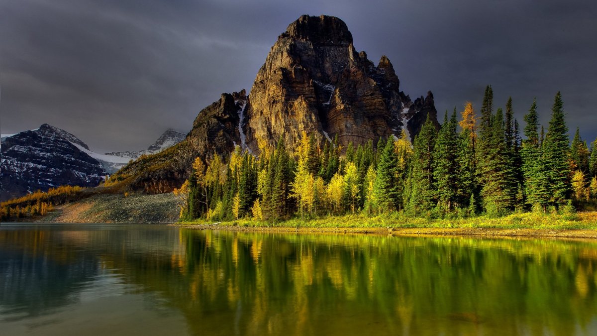 Природа Северной Америки