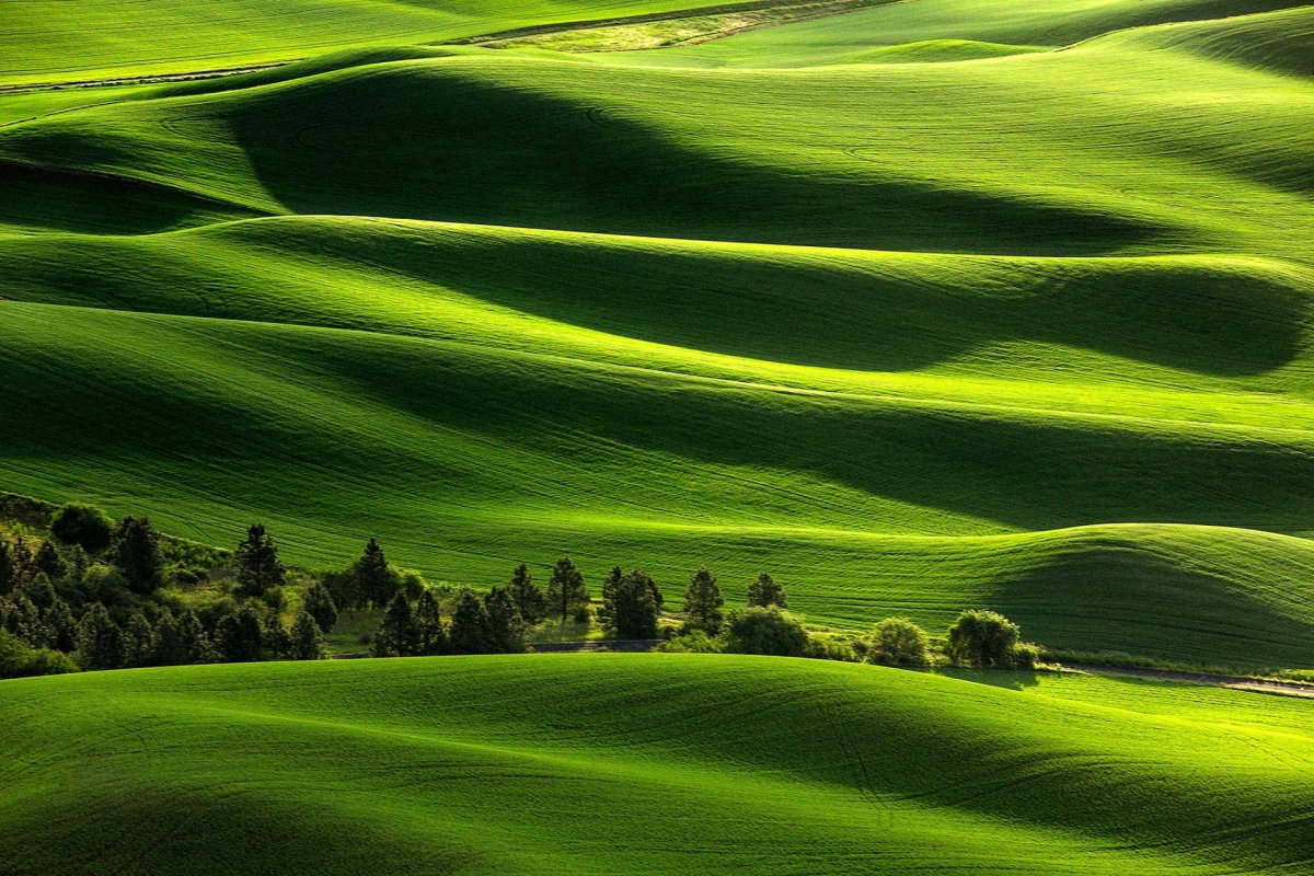 Зеленая природа
