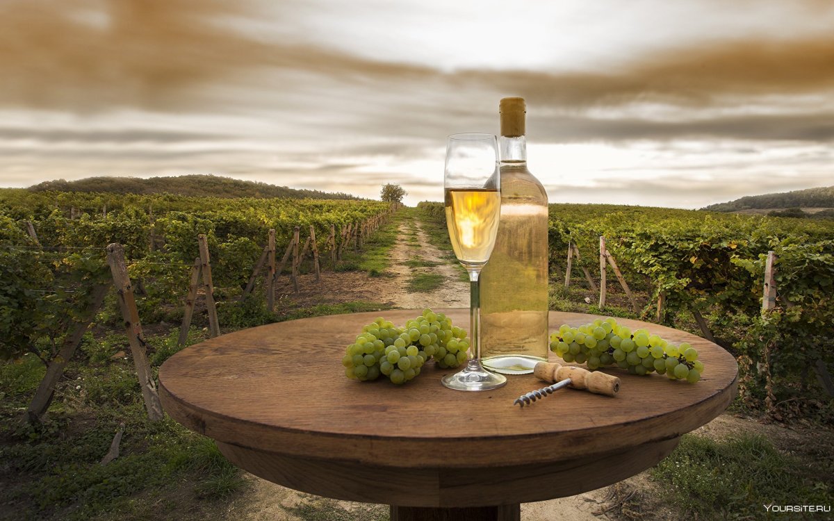 Wine Garden вино